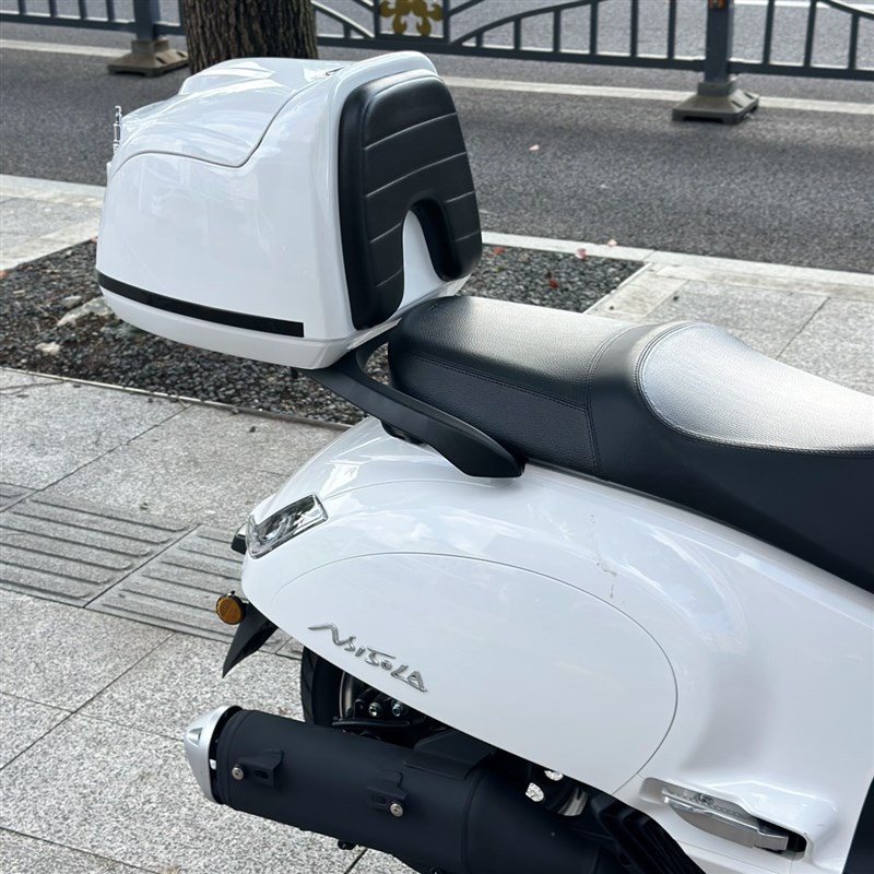 适用新大洲本田NS150LA后备箱改装摩托车尾箱大容量加厚后货架39L