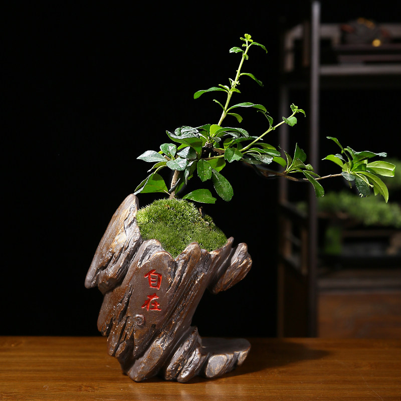 古典仿石头峭壁花盆陶瓷盆栽造景微景观家用透气福建茶植物盆景盆