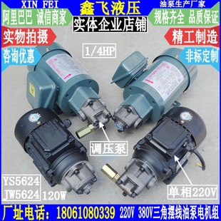 BMA 11A 12A马达摆线油泵电机组10A RHB AM2 13A 2.5 AM5 1.6JZ