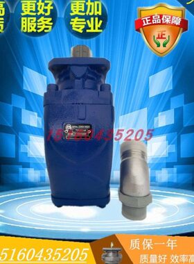 意大利PZB斜轴柱塞泵 Y60/84R 317008422W0 环卫钩臂车专用油泵64