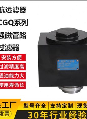CGQ-20 强磁管路过滤器 CGQ20管路过滤器 信航远