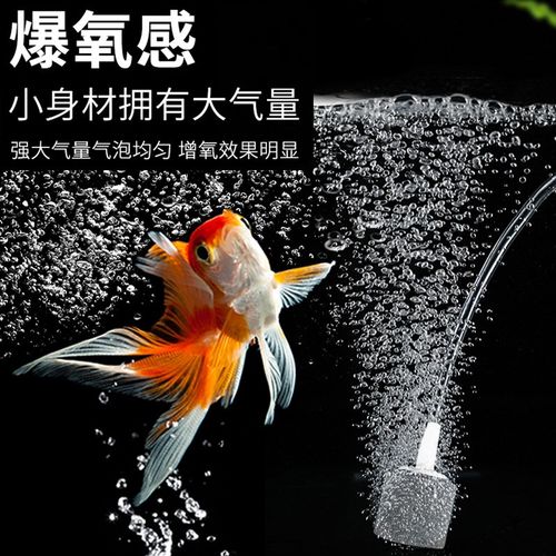 增氧泵小型USB充氧泵增氧机家用养鱼氧气泵鱼缸专用超静音打氧机