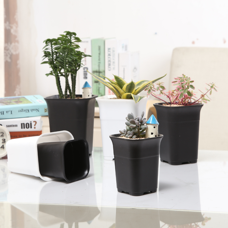 简约阳台多肉植物种植大号方万象盆肉肉方形塑料花盆小号中等清仓