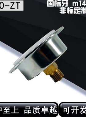 上海亿川压力表Y60-ZT轴向带边压力表气压水压液压油压60mm表面