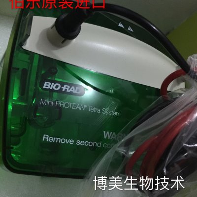 bio-rad伯乐小型垂直电泳槽 (只有槽子和盖子)  1658040