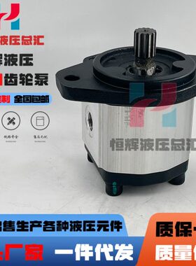 博顿高压油泵Boden齿轮泵BHP2.5A1D30S0R1 BHP2.5A0S23S3L0液压泵