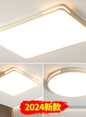 客厅主灯20g24新款简约现代大气全光谱智能吸顶灯卧室房间中山灯