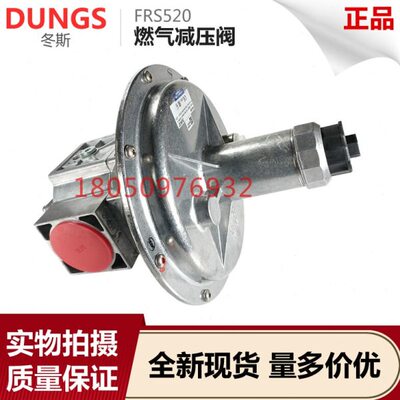 DUNGS冬斯FRS510 FRS515 FRS520 FRS5065 FRS5080 FRS5100减压阀