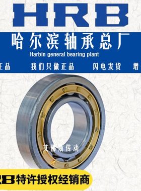 哈尔滨圆柱滚子轴承N NU NJ205 206 207 208 209 210 211 220EM