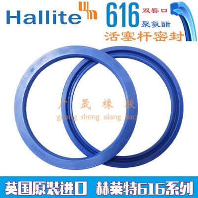 Hallite赫莱特H616拉杆封75*90.5 80*95.5 85*100.5 90*105.5*6.3