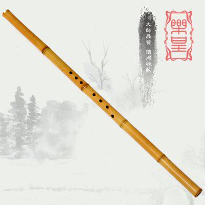 乐皇洞箫专业演奏高档黄玉白竹箫gf调八孔初学 六孔e调素面萧乐器