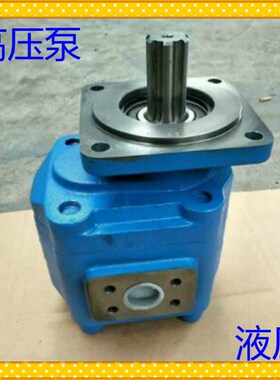 供应JHP3A160齿轮泵 柳工50C装载机齿轮油泵 11C2321