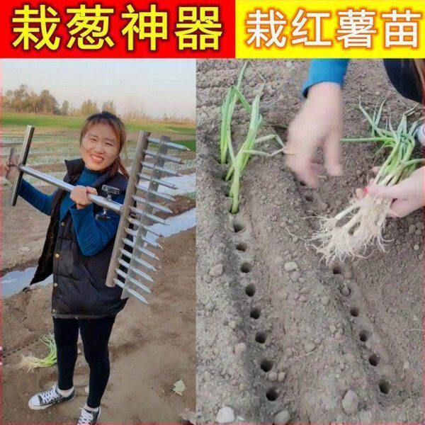 栽葱打孔工具大葱叉子种葱神器栽葱叉子栽葱神器插孔器大葱插眼器