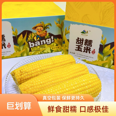 甘肃合水太白甜糯玉米上市啦