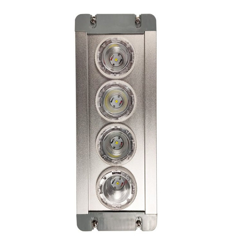 DSFG-900Y LED固定免维护顶灯 4*3W