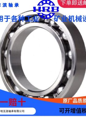 HRB 6040  2Z MA 哈尔滨深沟球列轴承内径200cm外径310cm厚度51