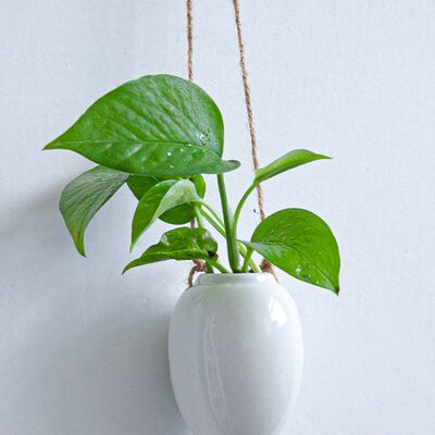悬挂式水培花盆绿萝水养壁挂花器简约桌面无土白色陶瓷花瓶摆件