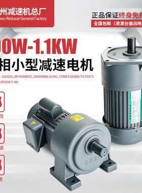 台减小型减速电机卧式单相200W18轴齿轮减速电机220v立式电机750W