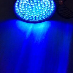 紫外线荧光剂检测超大128紫光灯泡琥珀化妆品验钞395手电筒可刻字