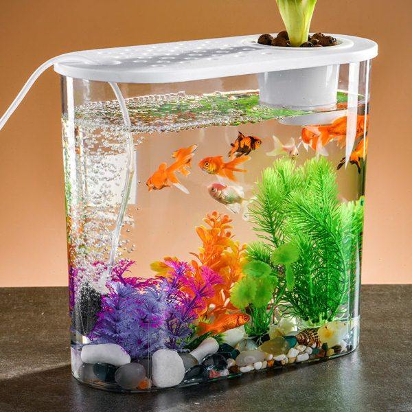 亚克力鱼缸客厅透明养花桶金鱼缸塑料家用垃圾桶公室透明插花桶,收纳整理,首饰盒,淘宝优惠券,粉丝福利购,淘宝优惠卷