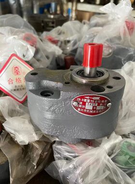 大连 沈阳 安阳 兰州CW6163 CW6180车床齿轮油泵CB-B6F CB-B10F