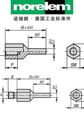 norelem德国原厂直供诺瑞朗NLM02027定位销带内/外螺纹针形