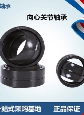 GE6 8 10 12 15 16 17 20 25 30 35 40 45 50 60 ES向心关节轴承