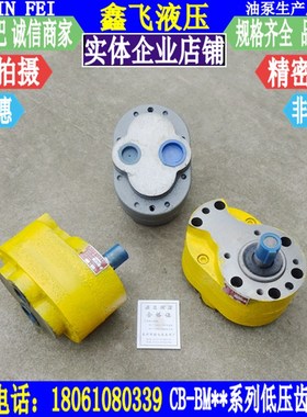 CB-BM16/BM20/BM25/BM32/BM40/BM50/BM63/BM80/BM100/BM125齿轮泵