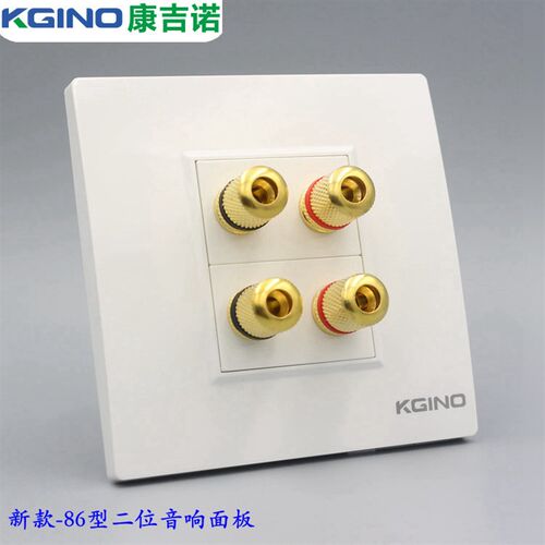 康吉诺86型二位四头音箱插座双位环绕音箱多媒体音响面板墙壁面板