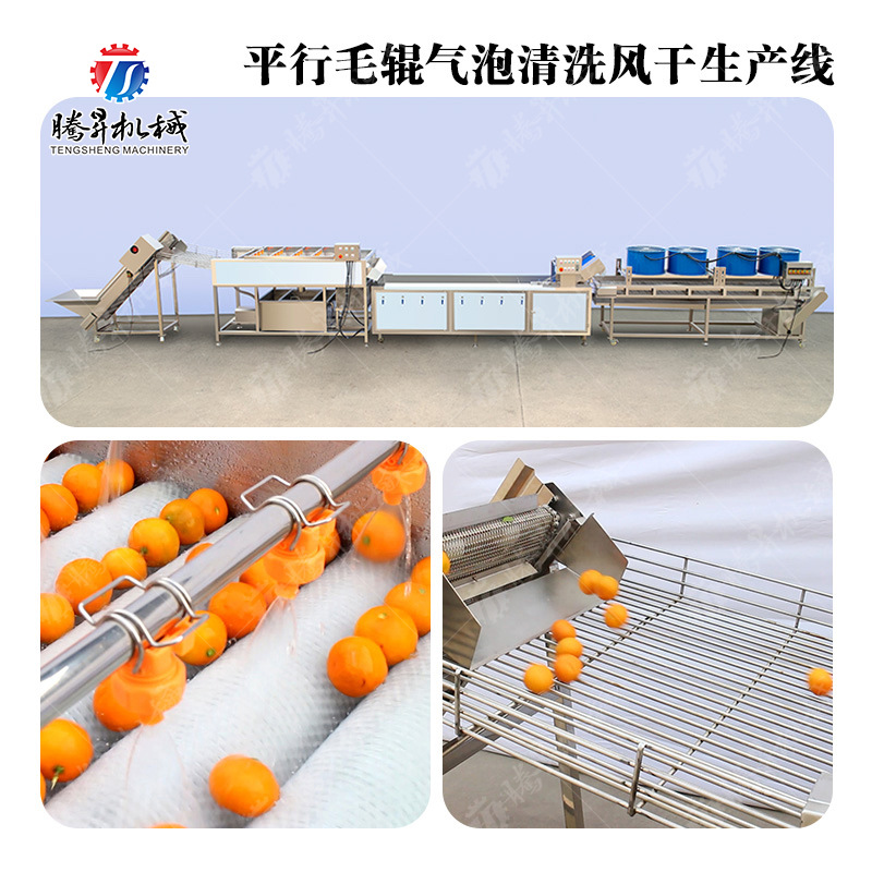 毛辊机 提升机 气泡机 根茎类瓜果去皮清洗风干作业线 定造