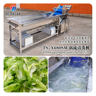 果蔬净菜加工设备 分离式循环过滤水箱 旋流冲浪果蔬清洗机 洗菜