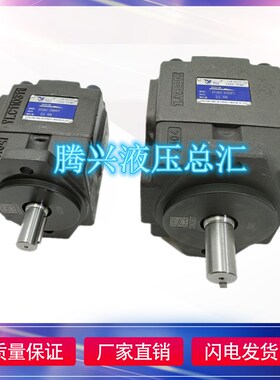 YLC仙居永灵叶片泵PV2R1-8/12/14/17/19/23/25/28/31RAF1液压油泵
