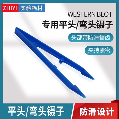 免疫组化westernblot专用平头/弯头镊子WB孵育盒荧光实验塑料镊子
