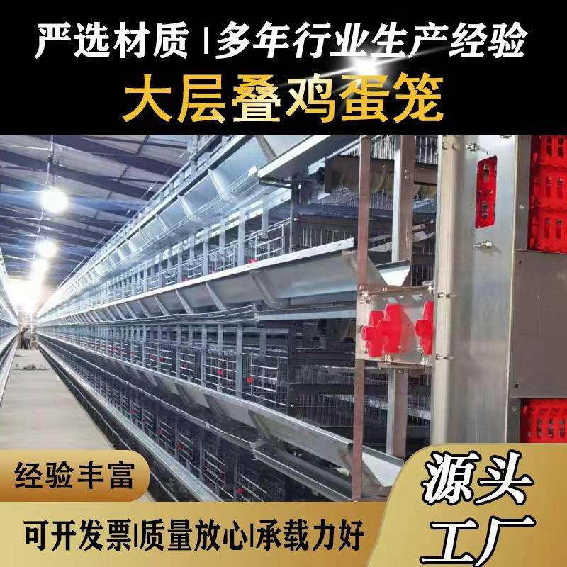 大层叠肉鸡笼养鸡设备加密加粗全自动化养殖笼具热镀锌蛋鸡笼设备,农机/农具/农膜,农用防护器具,淘宝优惠券,粉丝福利购,淘宝优惠卷