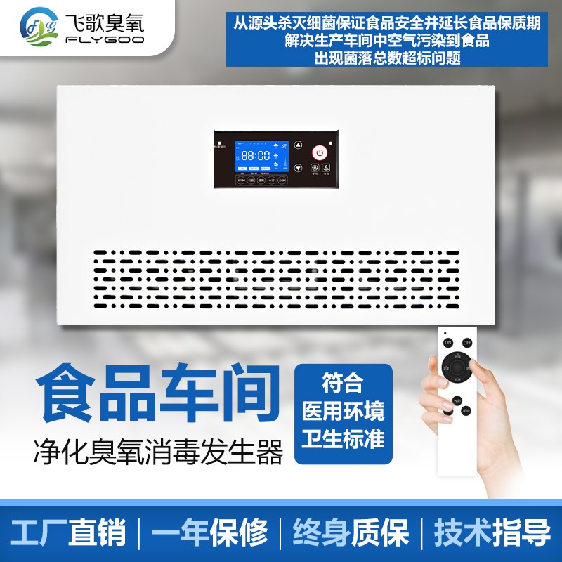 壁挂式臭氧消毒机2030g臭氧发生器食品化妆品厂幼儿园车间养殖厂