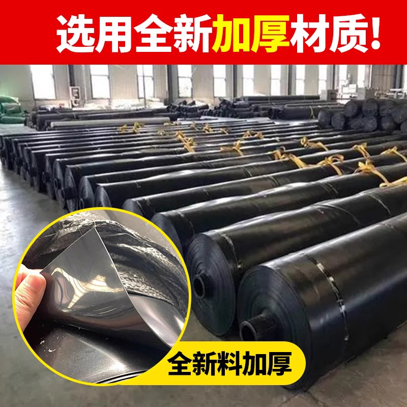 防水膜鱼塘防渗膜土工膜防潮膜防水布鱼池专用塑料膜加厚地膜特厚