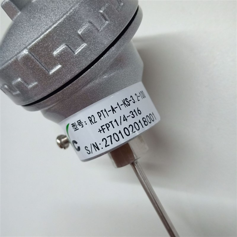 EYC拧入式热电阻R2系列 PT100信号 FPT1/4活动螺纹 管长可选订购