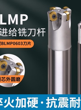 TEBL/BLMP0603数控快进给双面铣刀杆0904刀片铣刀盘加工中心开粗