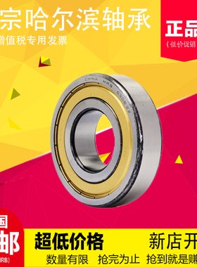 哈尔滨高速轴承6000 6001 6002 6003 6004 6005 60066007 2Z 2RS
