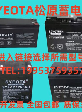 SYEOTA松原蓄电池SY24-12/12v24AH40AH20AH18AH7AH5AH4AH消防电梯
