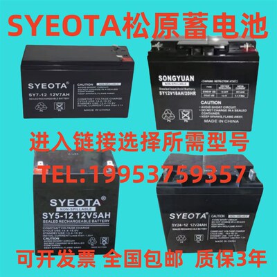 SYEOTA松原蓄电池SY24-12/12v24AH40AH20AH18AH7AH5AH4AH消防电梯