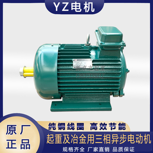 225 132M 160L 22kw 7.5 YZ冶金起重电动机3.7 180 5.5