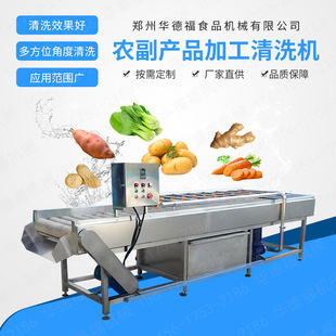 毛辊清洗机 生姜土豆莲藕不锈钢清洗去泥机器 果蔬毛刷去皮流水线
