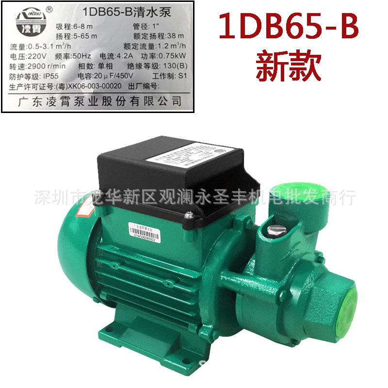 广东凌霄1DB35 1DB45 1DB65 -B清水泵 家用抽水泵330W 550W 750W