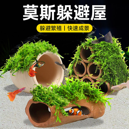 鱼缸莫斯陶罐躲避屋水草造景植物小摆件小鱼虾繁殖产卵躲避罐虾屋