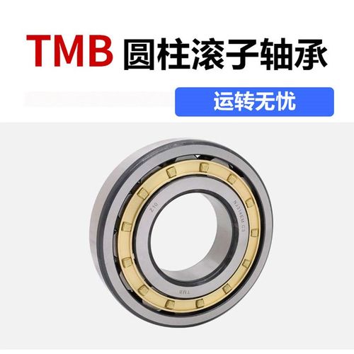 NJ NU2304 2305 2306 2307 2308 2309EM圆柱滚子轴承 N NUP NF C3