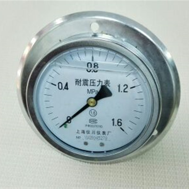 面版式注油防震压力表 YN-100ZT 1.6mpa 直径100mm 耐震压力表