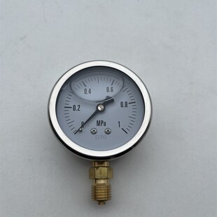 径向安装 1mpa耐震压力表 金属外壳 铜牙M14X1.5 后壳直径62mm
