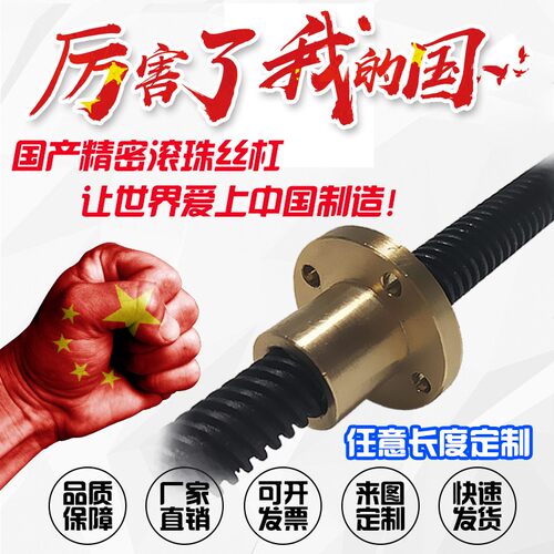 LTAR/LTBR/LTCR8 10 12 14 16 20 22 25 30 32 36 40梯形丝杆丝杠