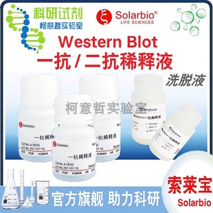 一抗稀释液 二抗稀释液 一抗二抗洗脱液 Western 索莱宝 blot